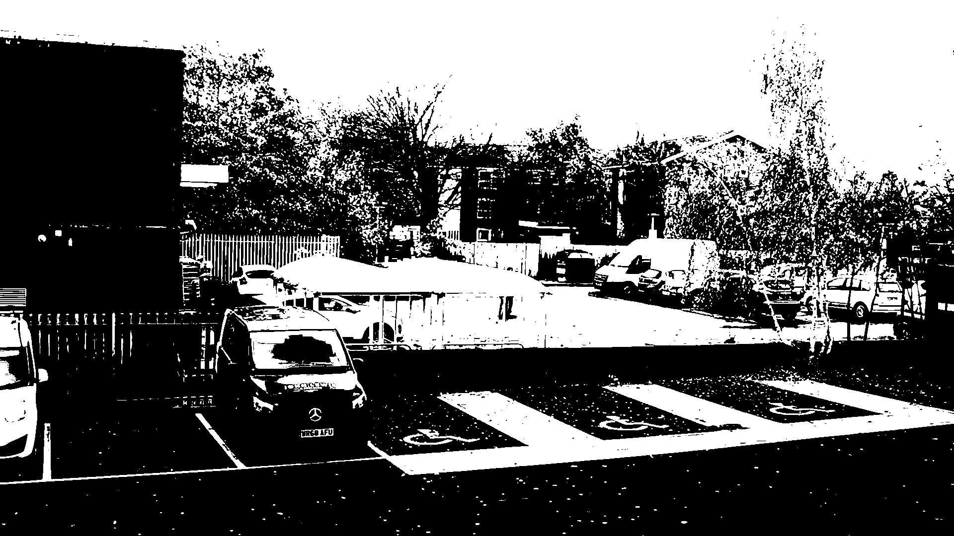 tree-park